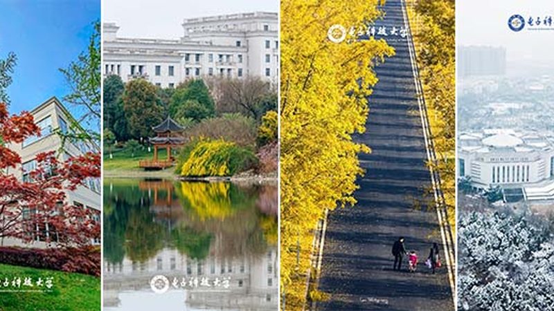 电子代工元器件参数规范：揭秘标准背后的秘密